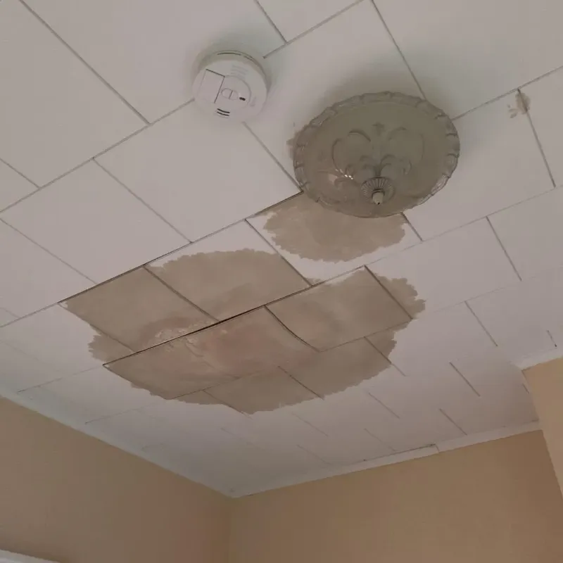 Ceiling Water Damage Repair in Saratoga, CA